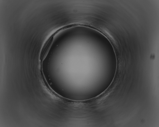 X0000091530940200708311308