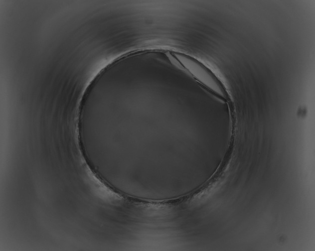 X0000091530941200708311308