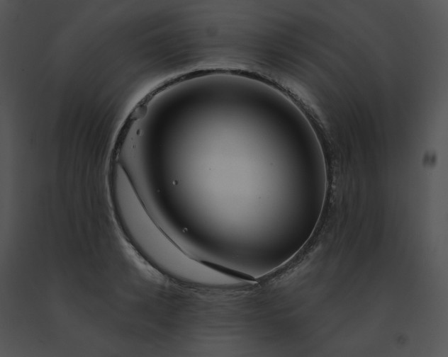 X0000091530942200708311308