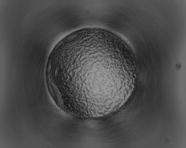 X0000091530943200708311308