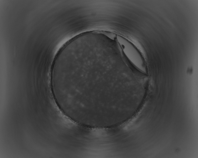 X0000091530944200708311308