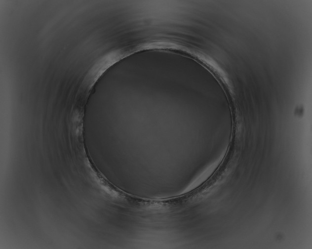 X0000091530945200708311308