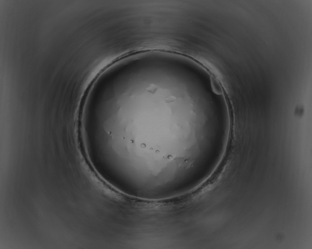 X0000091530949200708311308
