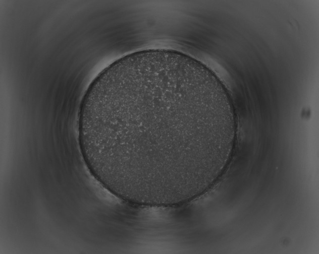 X0000091530950200708311308