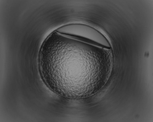 X0000091530951200708311308
