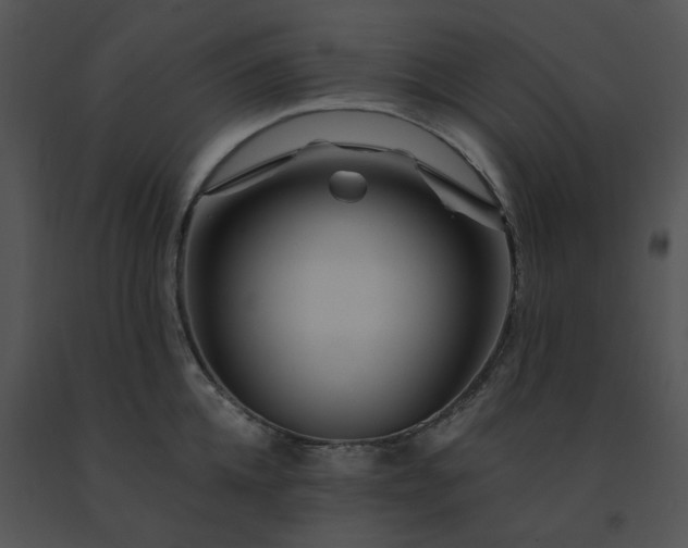 X0000091530952200708311308