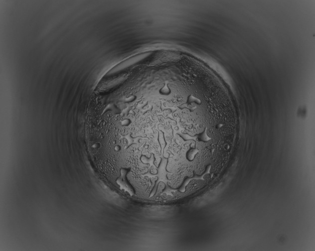X0000091530953200708311308