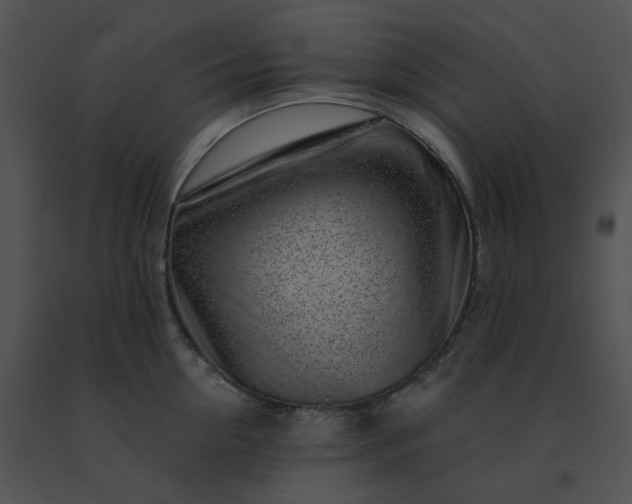 X0000091530954200708311308