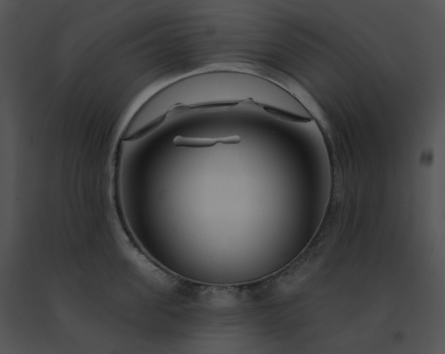 X0000091530955200708311308
