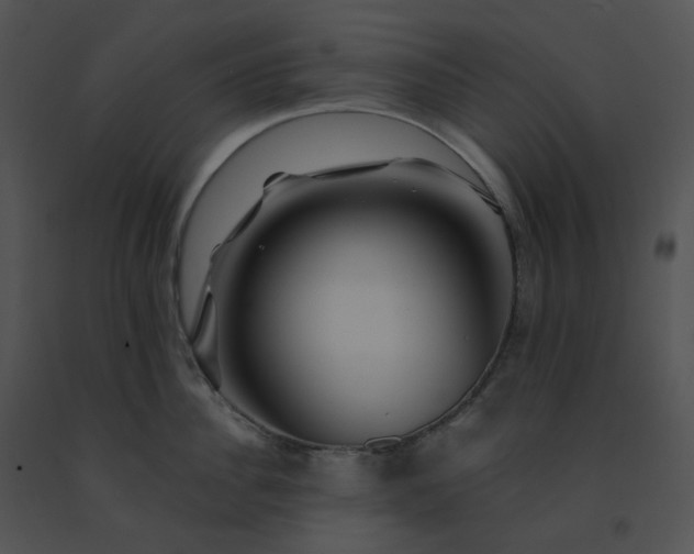 X0000091530956200708311308