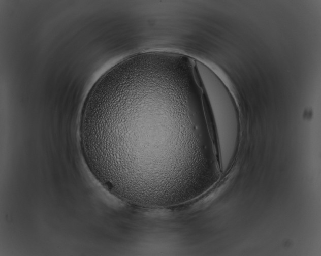 X0000091530957200708311308