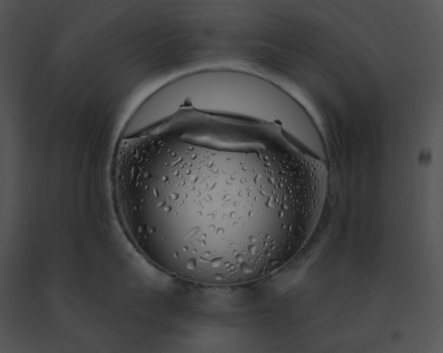 X0000091530959200708311308