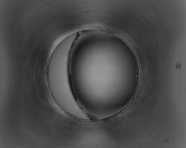 X0000091530960200708311308