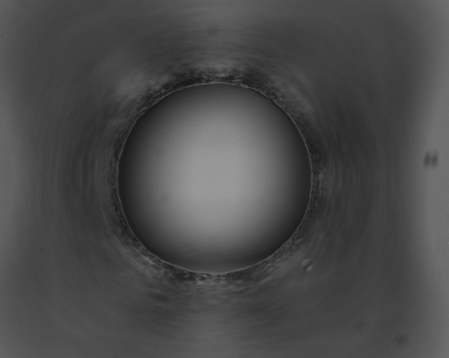 X0000091530961200708311307