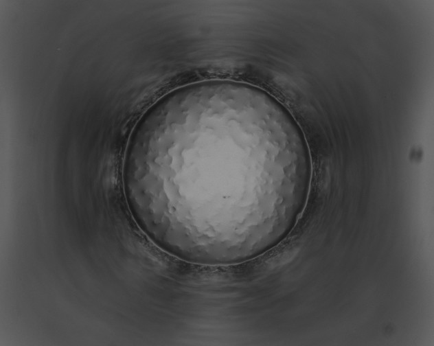 X0000091530962200708311307