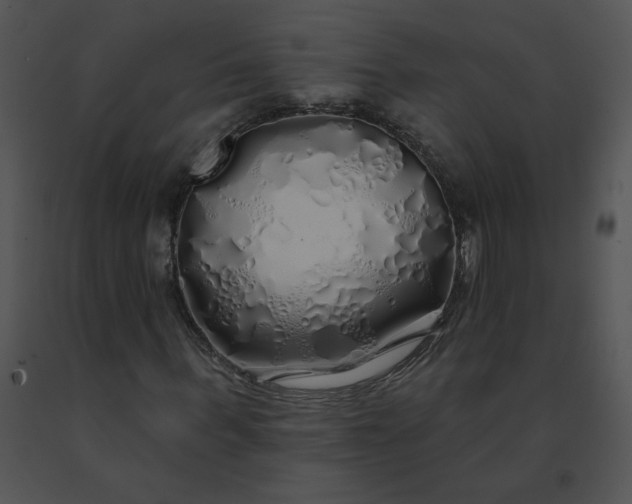 X0000091530963200708311307