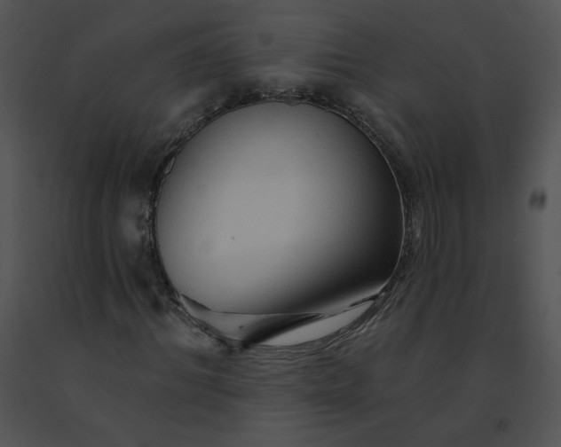 X0000091530964200708311307