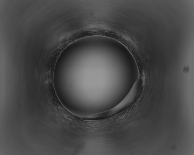 X0000091530965200708311307