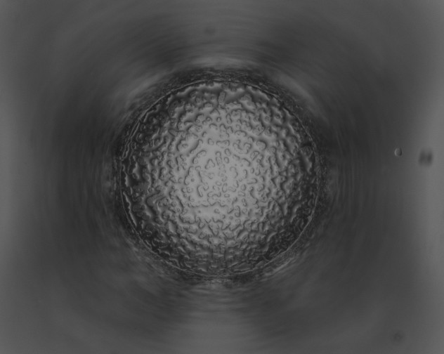 X0000091530966200708311307