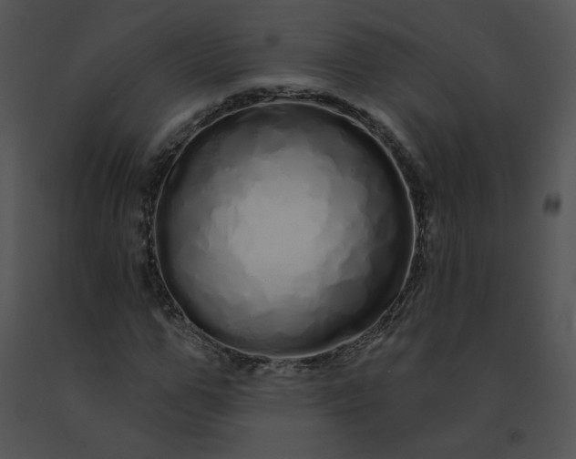 X0000091530967200708311307