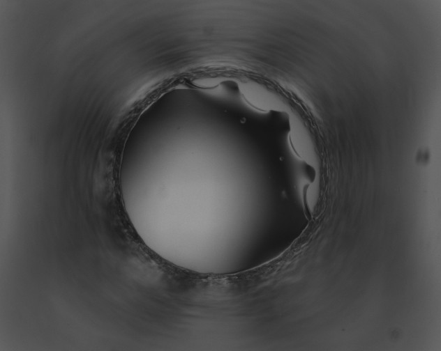 X0000091530968200708311307