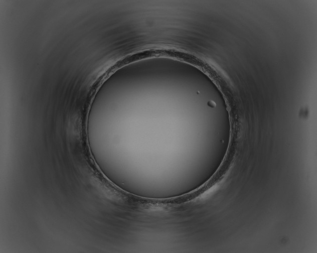X0000091530969200708311307