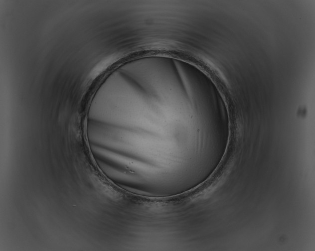 X0000091530970200708311307