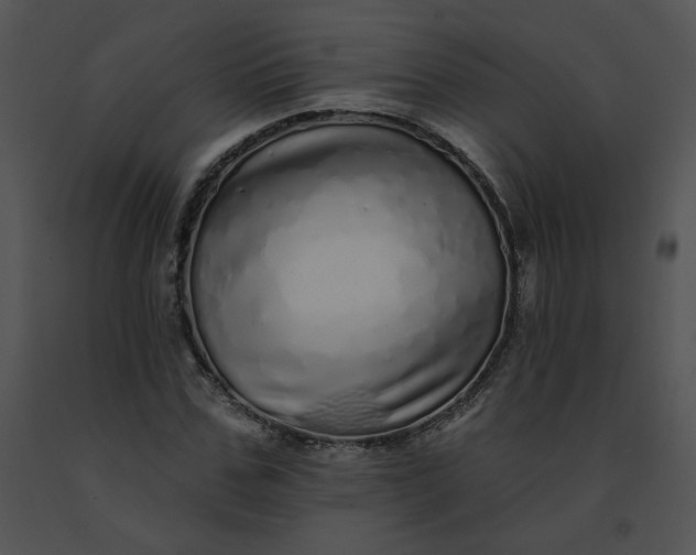 X0000091530971200708311307
