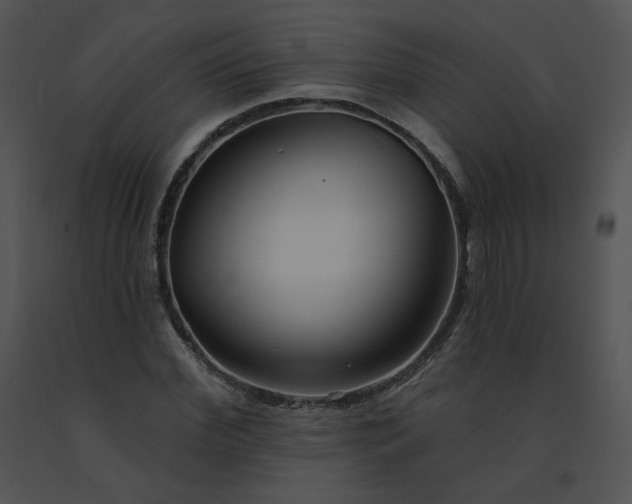 X0000091530972200708311307