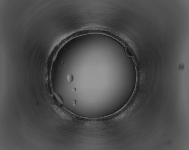 X0000091530973200708311307