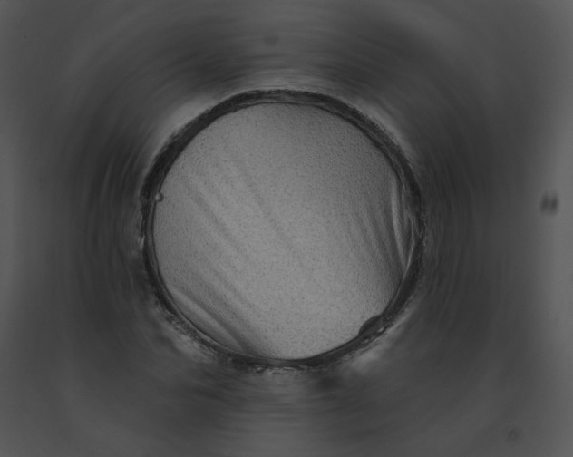 X0000091530974200708311307