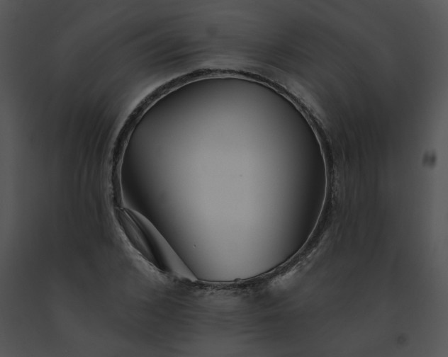 X0000091530976200708311307