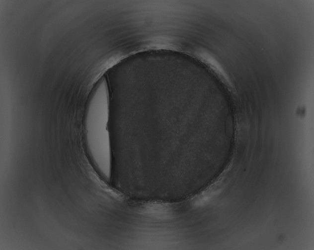 X0000091530977200708311307