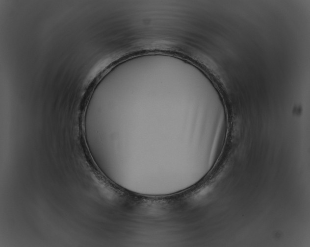 X0000091530978200708311307