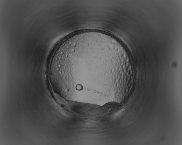 X0000091530979200708311307