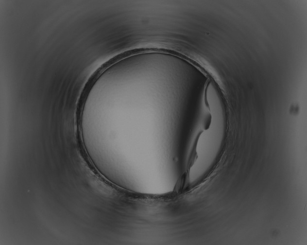X0000091530980200708311307
