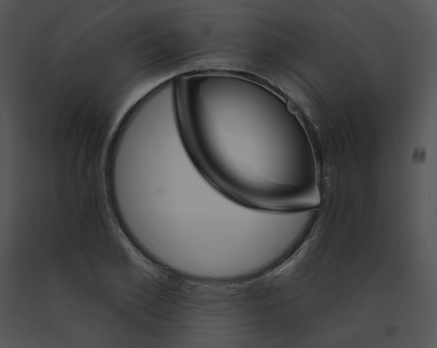 X0000091530981200708311307