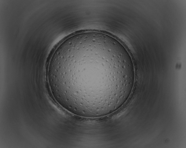 X0000091530982200708311307
