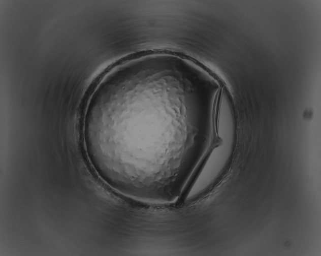 X0000091530983200708311307