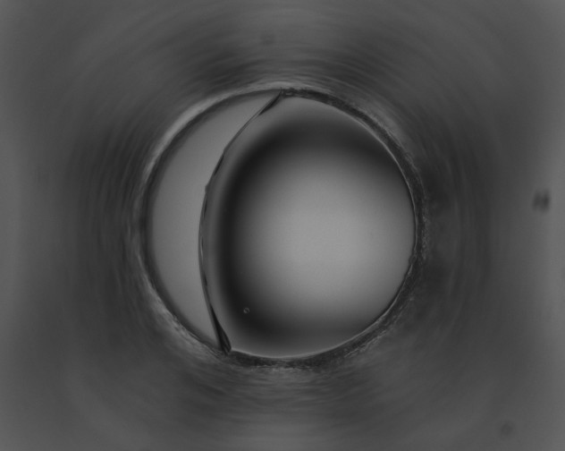 X0000091530984200708311307
