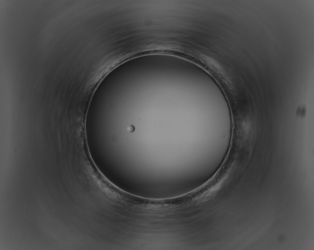 X0000091530985200708311307