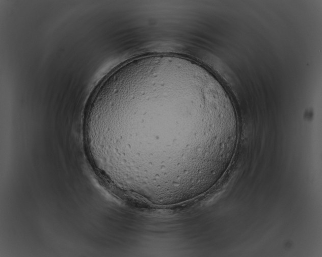 X0000091530986200708311307