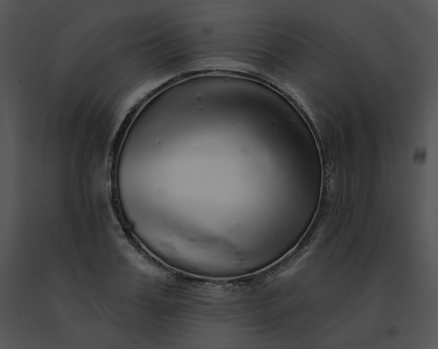 X0000091530987200708311307