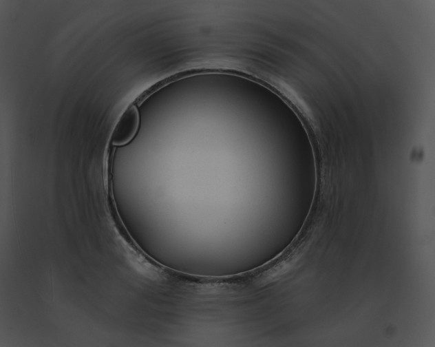 X0000091530988200708311307