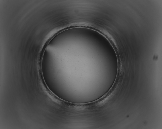X0000091530989200708311307