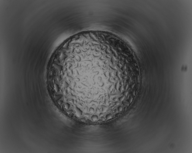 X0000091530990200708311307