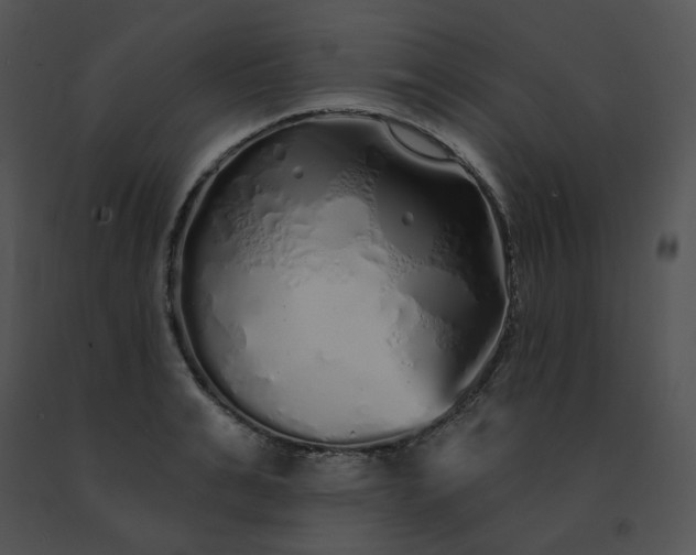 X0000091530991200708311307