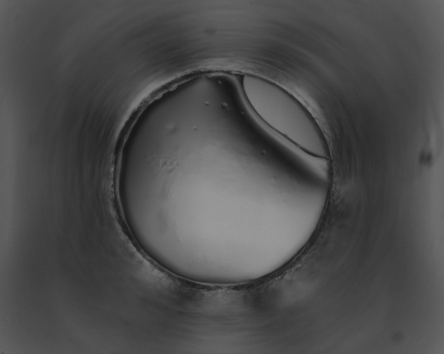 X0000091530992200708311307