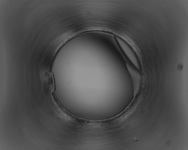 X0000091530993200708311307