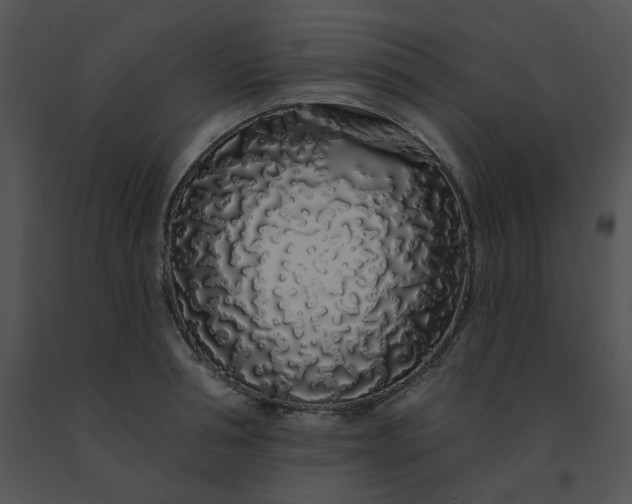 X0000091530994200708311307
